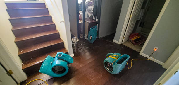 Best Fire Damage Restoration  in Sand Lake, MI