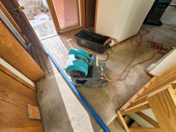 Best Local water damage restoration  in Sand Lake, MI