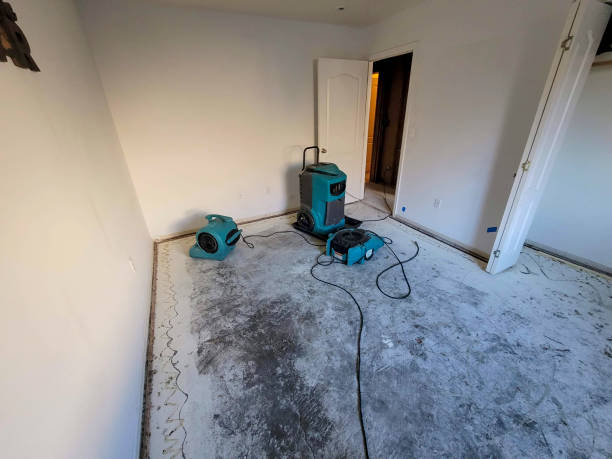 Best Commercial water damage restoration  in Sand Lake, MI