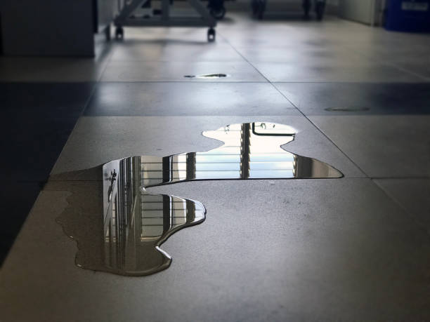 Best Water damage restoration near me  in Sand Lake, MI