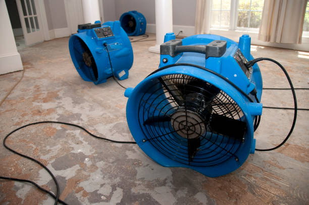 Sewage cleanup and water damage restoration in Sand Lake, MI