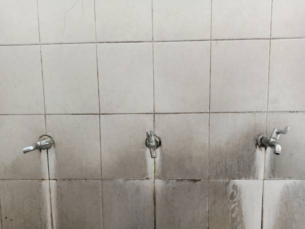 Reliable Sand Lake, MI Water damage restoration Solutions
