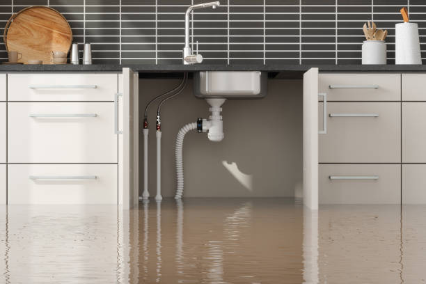 Best 24/7 water damage repair  in Sand Lake, MI