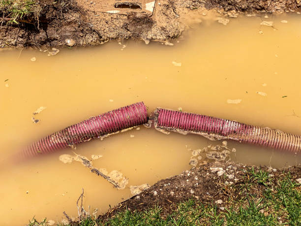 Best Water damage restoration near me  in Sand Lake, MI