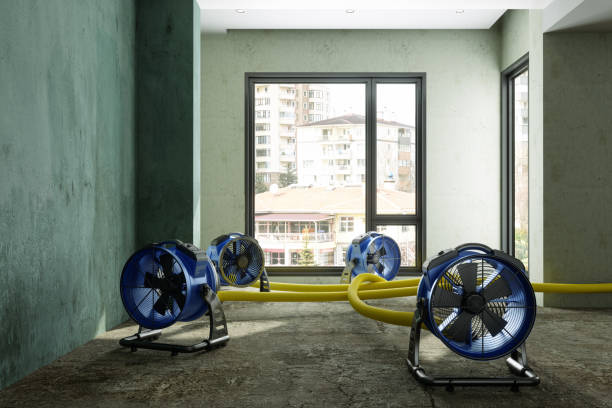 Best Carpet water damage restoration  in Sand Lake, MI